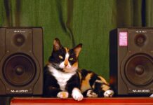 Co to jest deflektor w wędzarni?