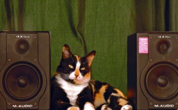 Co to jest deflektor w wędzarni?