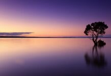 Ile wody na prysznic w kamperze?