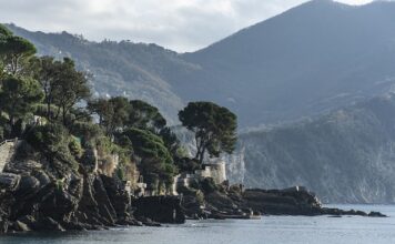 Ile kosztuje wymiana rolki napinacza?