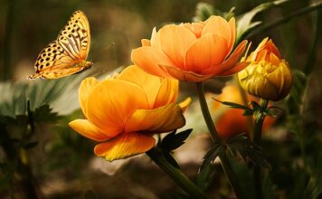 Ile czekać przed myciem motocykla?