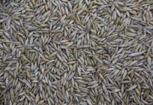 Gdzie produkuje się Porsche? Gdzie produkuje się Porsche?