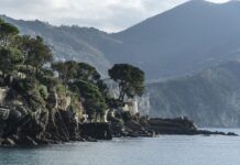 Ile kosztuje Mały Fiat?