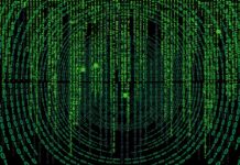 Jak wymiana oleju w walę kardana?