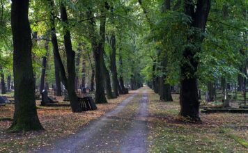 Jak ruszyć zatarty silnik?