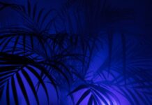 Co oznacza PK na pasku?