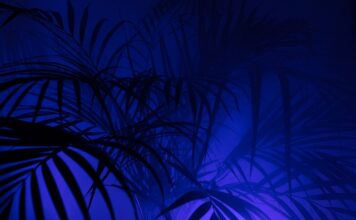 Co oznacza PK na pasku?