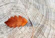 Jak dobrać pierścienie centrujące do felg? Jak dobrać pierścienie centrujące do felg?