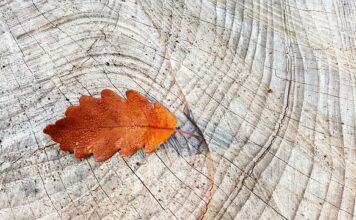 Jak dobrać pierścienie centrujące do felg?